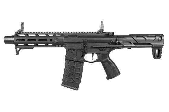 G&G ARP 556 2.0 AEG